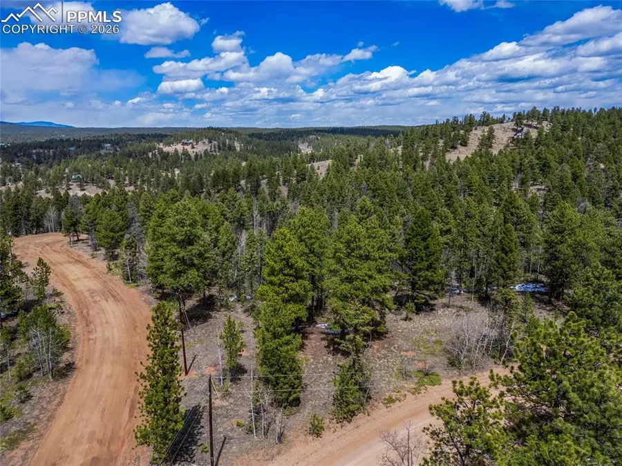 451 Chipeta Creek Trail, Florissant, CO 80816 - Image #3