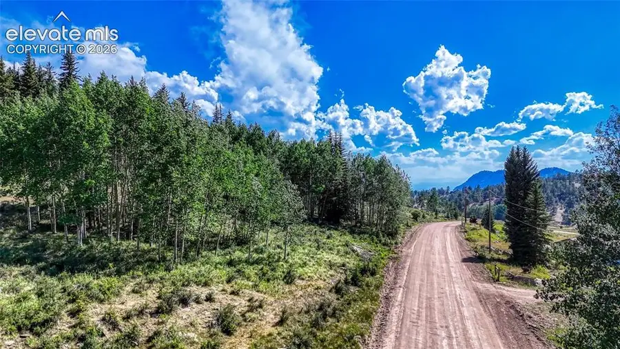 1444 Anges Drive, Cripple Creek, CO 80813 - #3