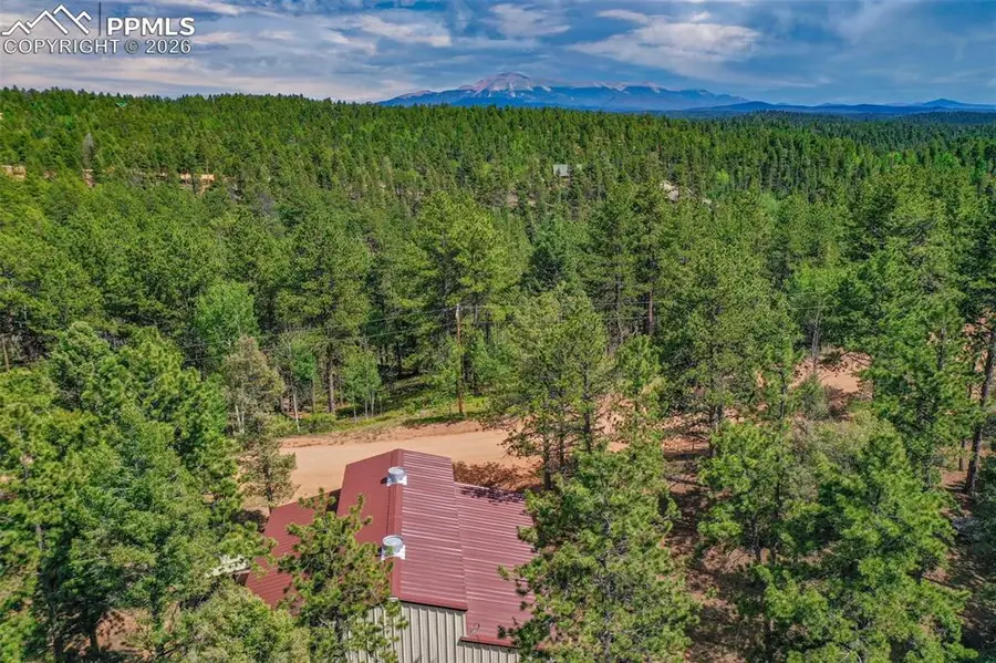 449 Woody Creek Road, Florissant, CO 80816 - #2