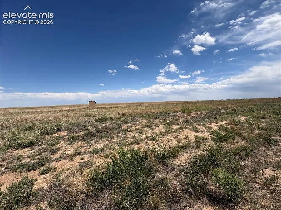 2755 Obdulio Point, Rush, CO 80833 - #3