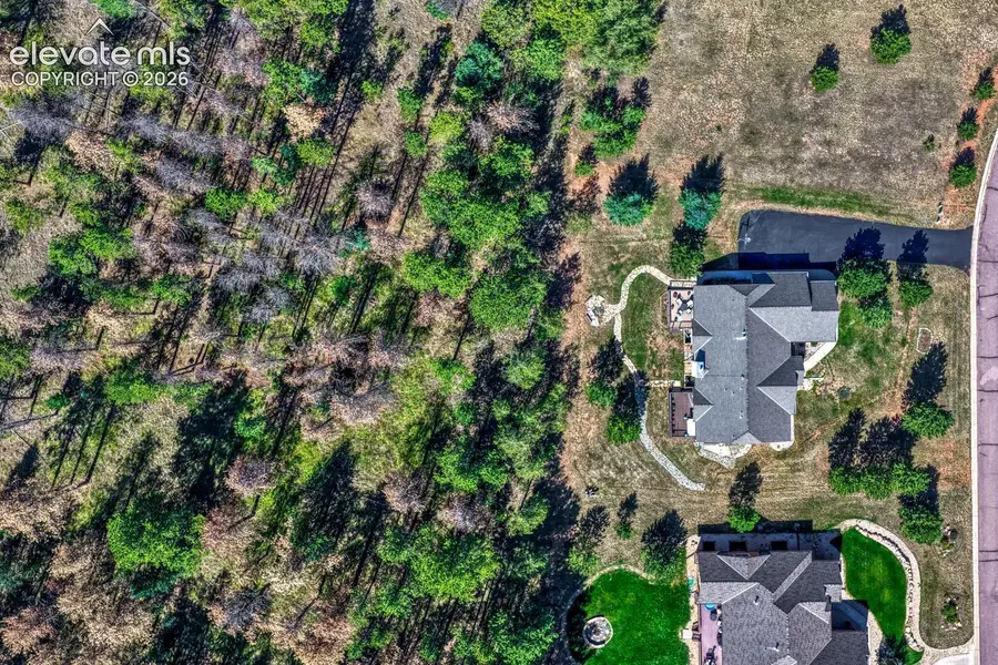 115 Hawkridge Drive, Woodland Park, CO 80863 - #3