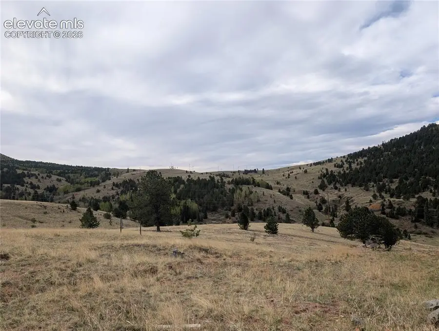 613 S 3rd Street, Victor, CO 80860 - #3