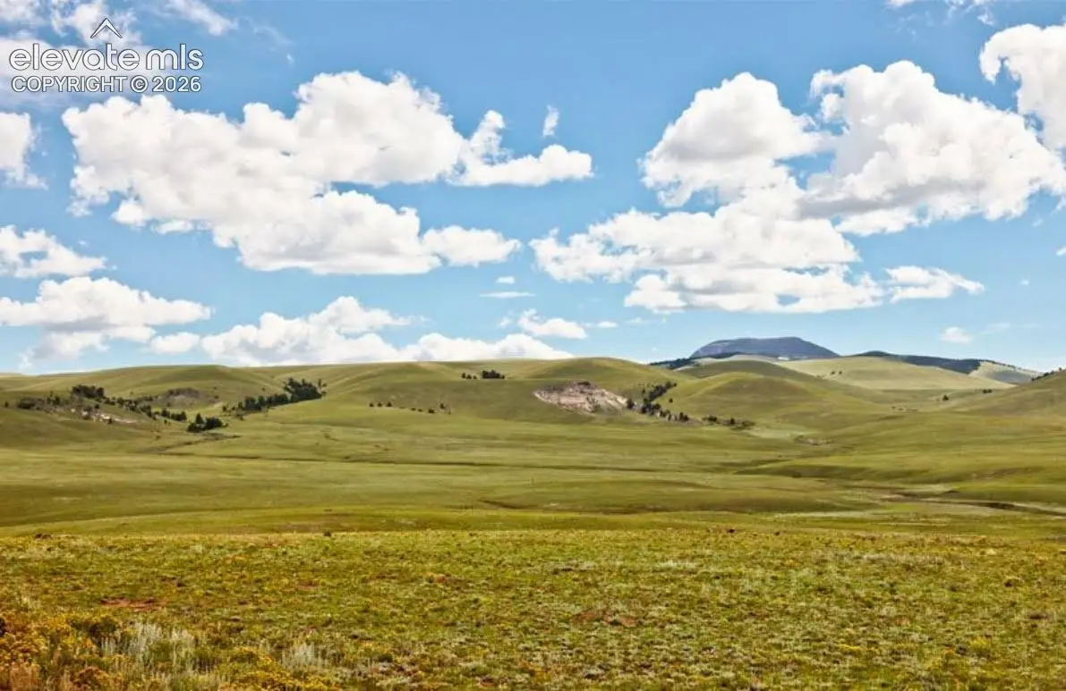 5462 Black Hawk Road, Hartsel, CO 80449 - #1