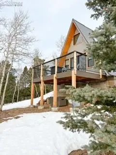 399 Maid Marian Drive, Divide, CO 80814 - #2