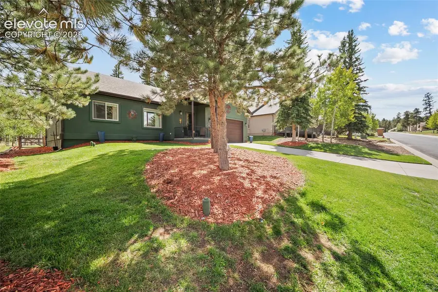 1113 Ptarmigan Drive, Woodland Park, CO 80863 - #3