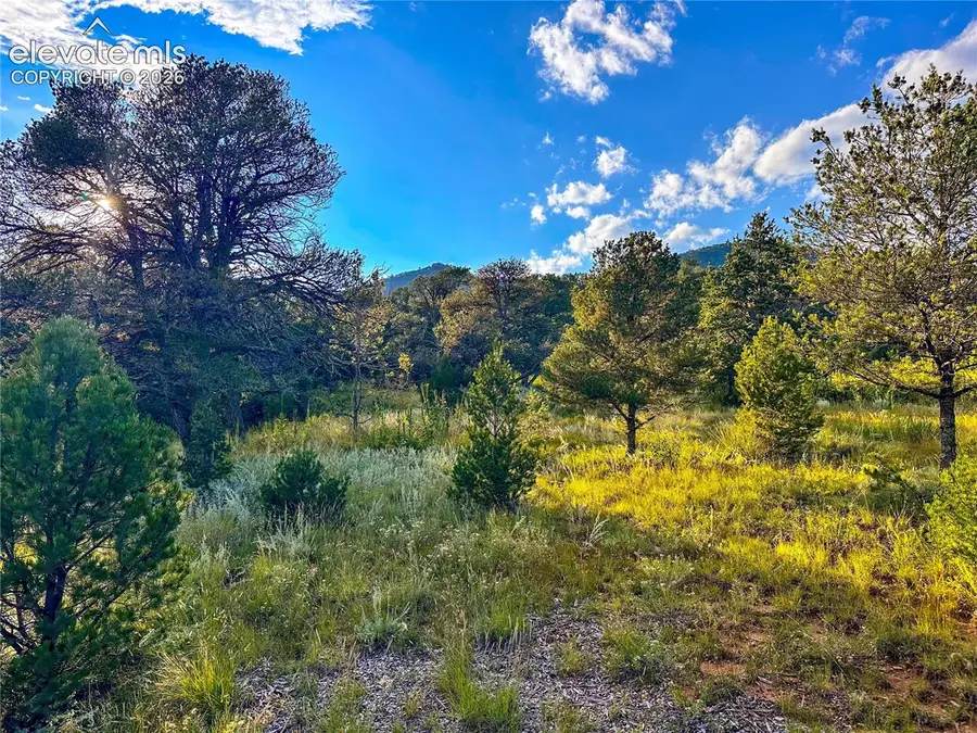 16116 Cala Rojo Drive, Colorado Springs, CO 80926 - #2