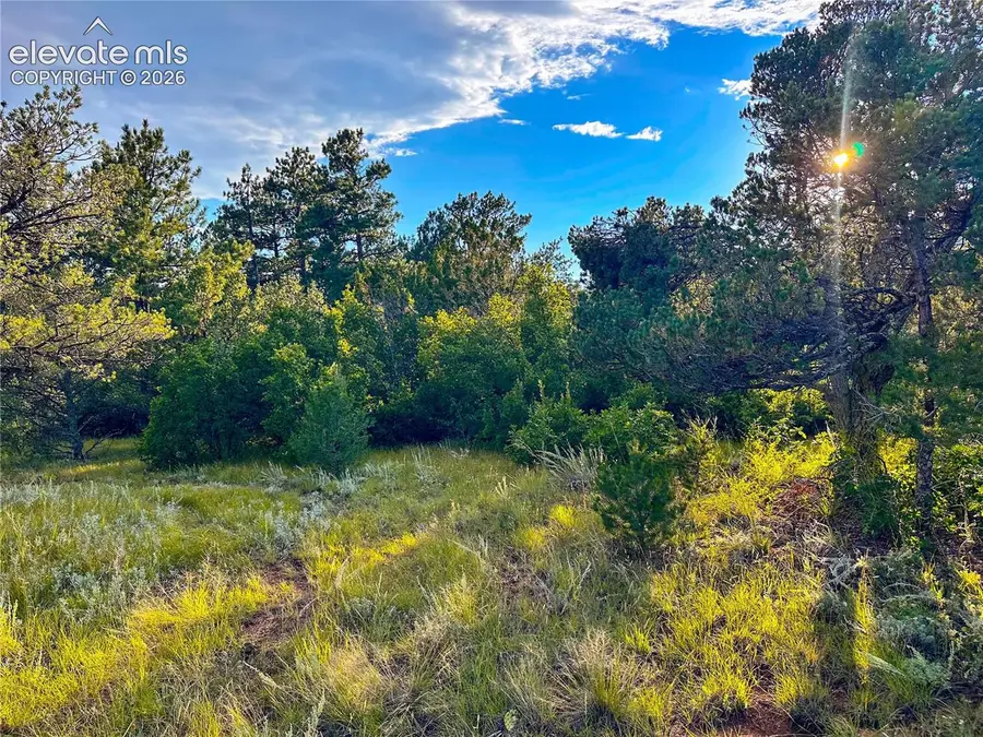 16116 Cala Rojo Drive, Colorado Springs, CO 80926 - #3