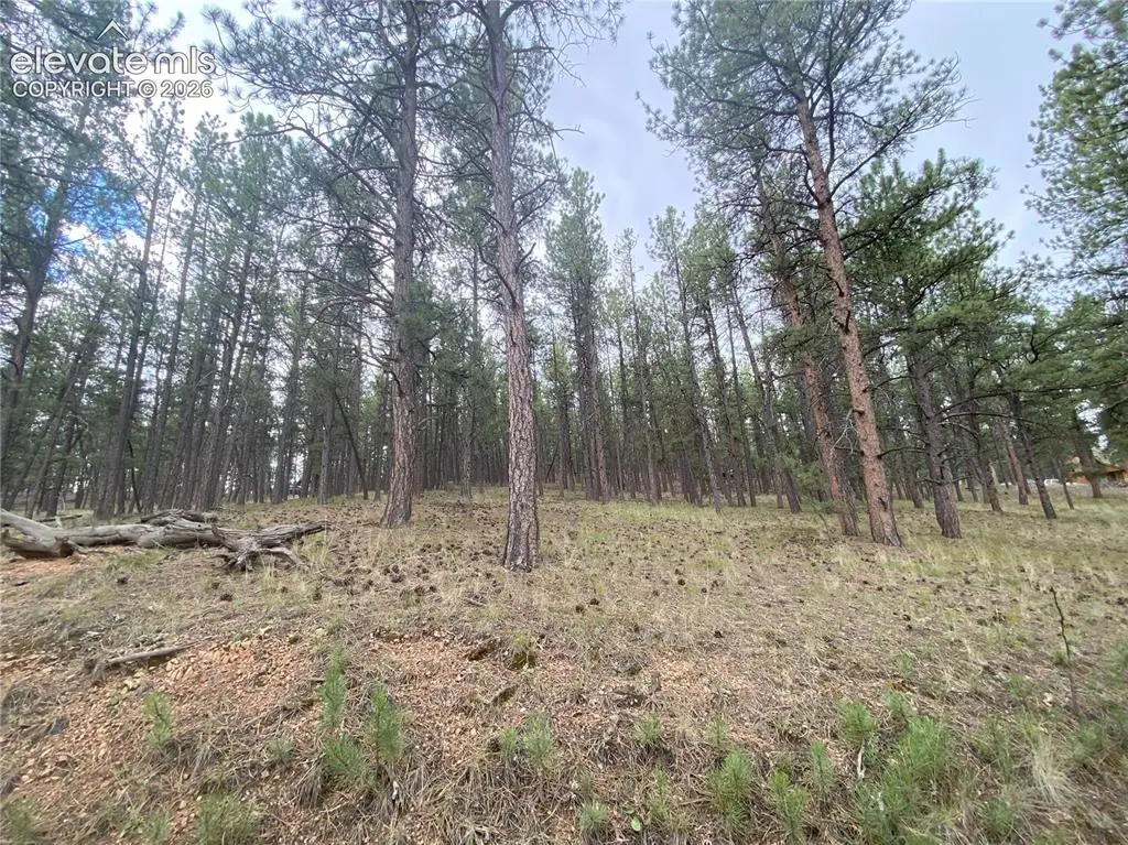 60 Pickens Road, Florissant, CO 80816 - #1