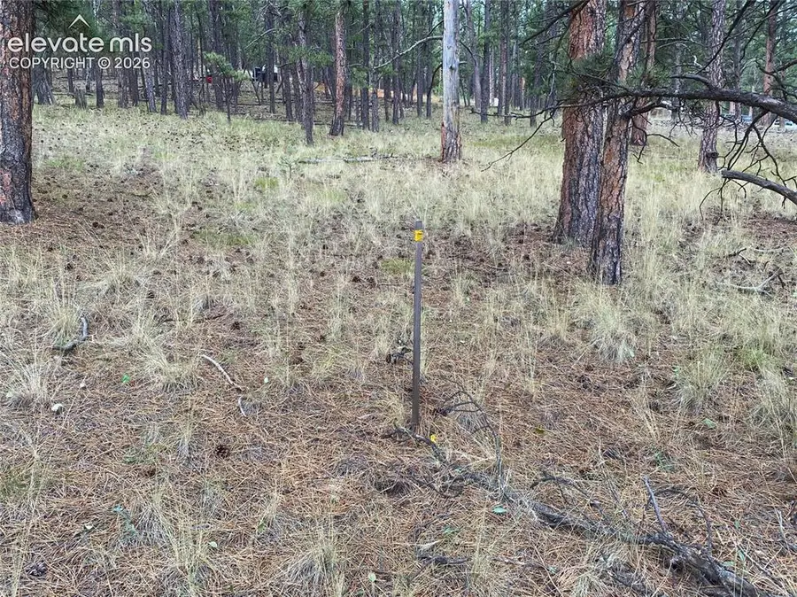 60 Pickens Road, Florissant, CO 80816 - #2
