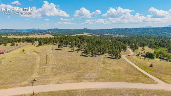 014 County Road 403, Florissant, CO 80816