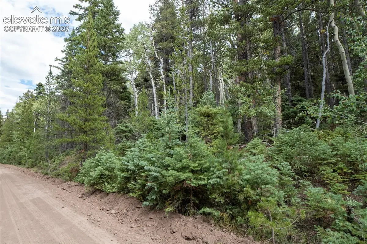 Lot 2238 Buonaventura Lane, Fort Garland, CO 81133 - #1