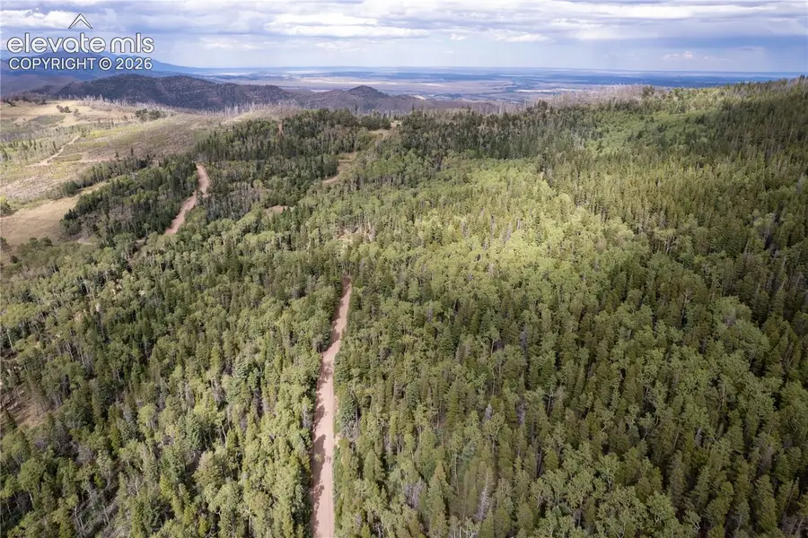 Lot 2238 Buonaventura Lane, Fort Garland, CO 81133 - #2