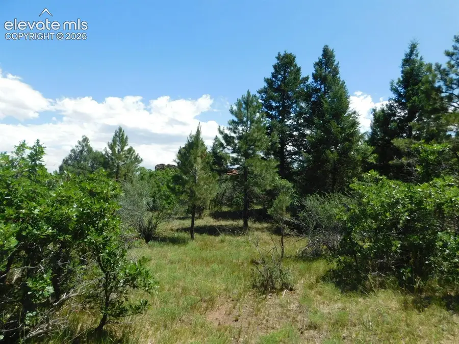6447 Thunderbird Road, Larkspur, CO 80118 - #2