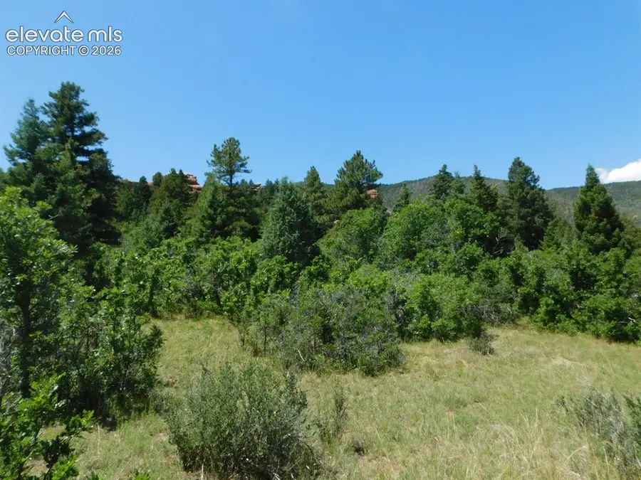 6447 Thunderbird Road, Larkspur, CO 80118 - #3