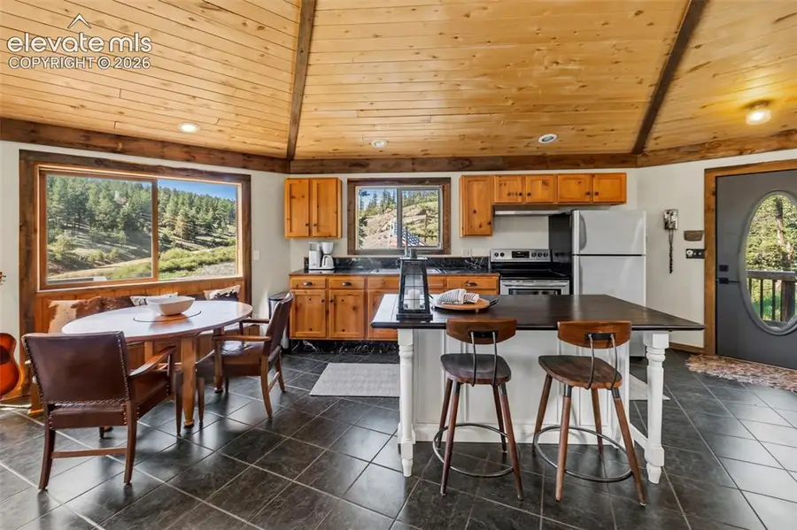 658 Conestoga Creek Road, Florissant, CO 80816 - #2