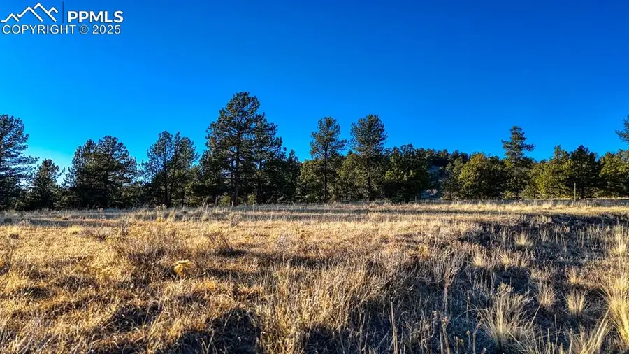 2550 Southpark Road, Florissant, CO 80816 - #3