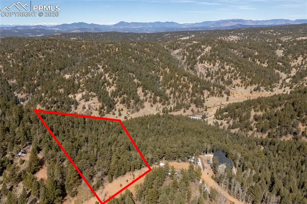 107 Haven Road, Divide, CO 80814 - #1