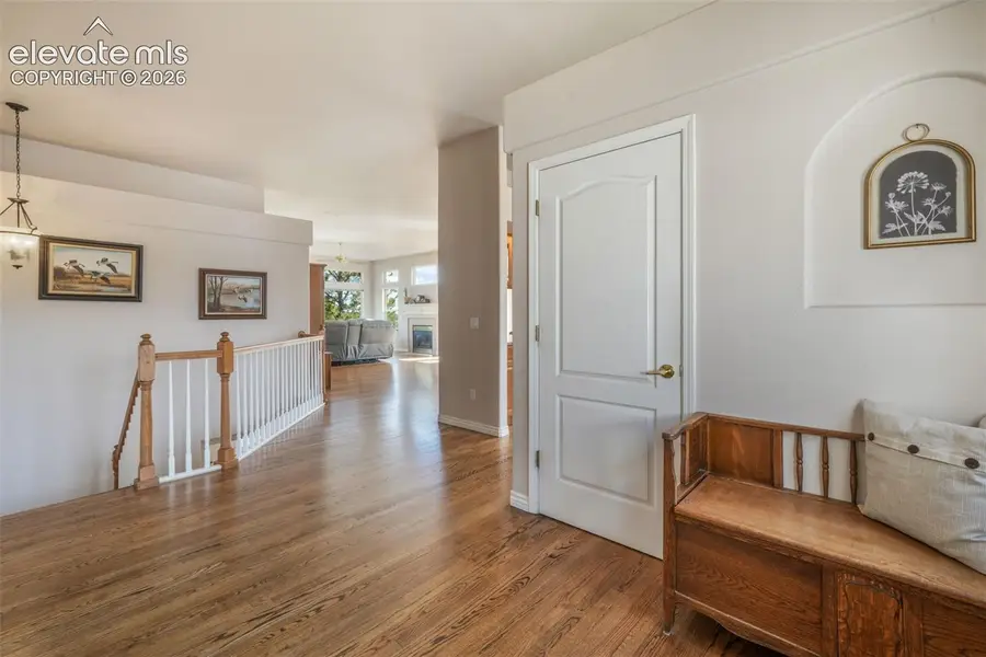 5515 Wittenberg Court, Colorado Springs, CO 80918 - #3