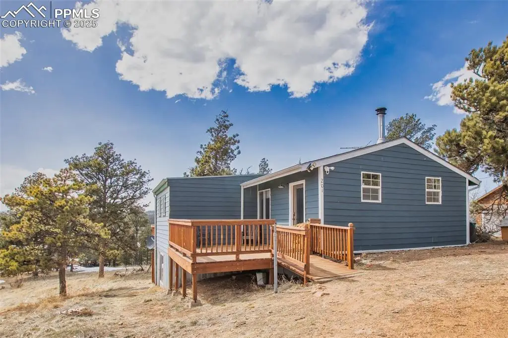 201 Dillon Lane, Florissant, CO 80816 - #1
