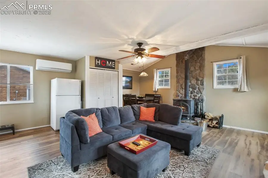 201 Dillon Lane, Florissant, CO 80816 - #3