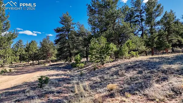 Lot 5124 Arikara Trail, Hartsel, CO 80449