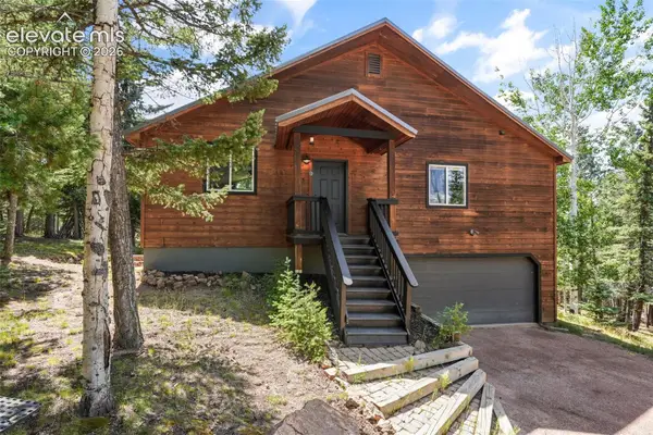 145 Grizzley Peak Road, Florissant, CO 80816
