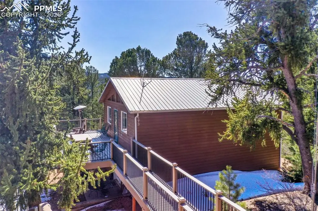 493 Horseshoe Drive, Divide, CO 80814 - #1