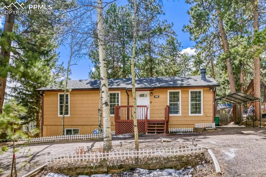 1005 W Browning Avenue, Woodland Park, CO 80863 - #2