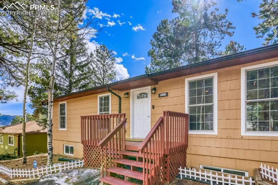 1005 W Browning Avenue, Woodland Park, CO 80863 - #3