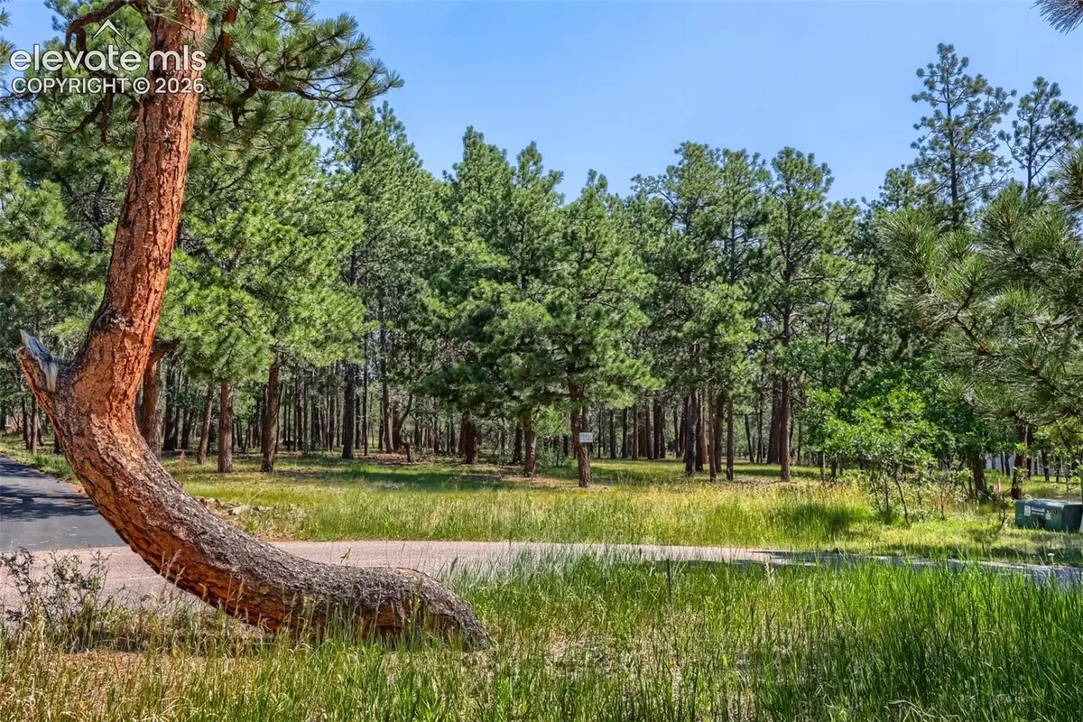 19420 Glencannon Way, Monument, CO 80132 - #1