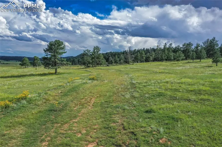 TBD Spring Valley Drive, Florissant, CO 80816 - Image #3
