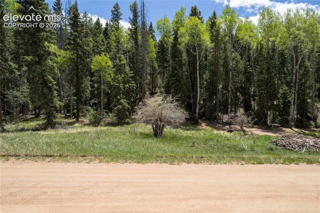 546 Spring Valley Lane, Florissant, CO 80816 - #1