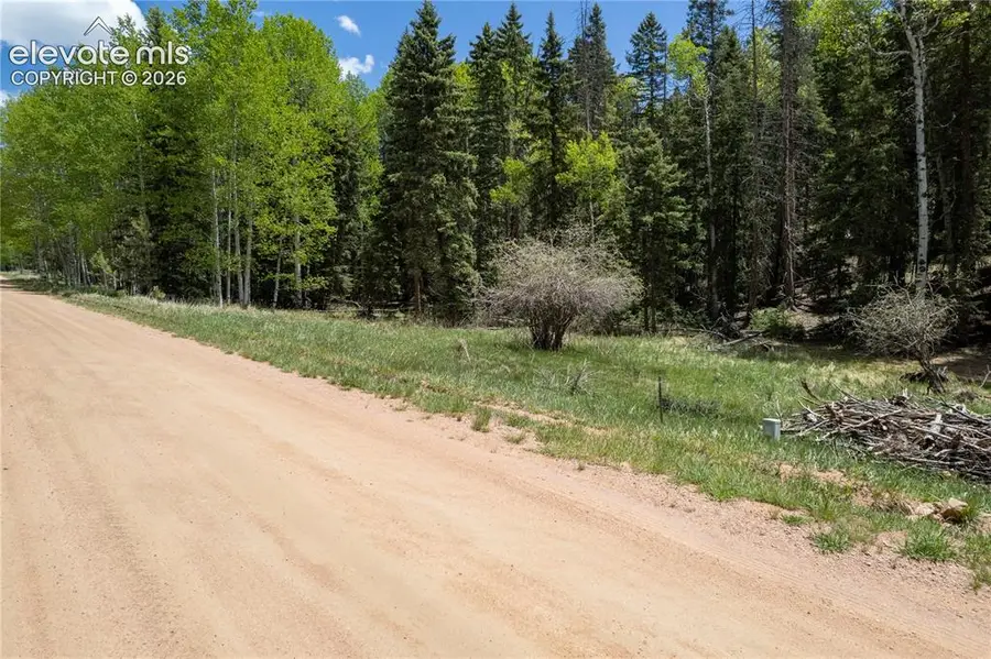546 Spring Valley Lane, Florissant, CO 80816 - #2