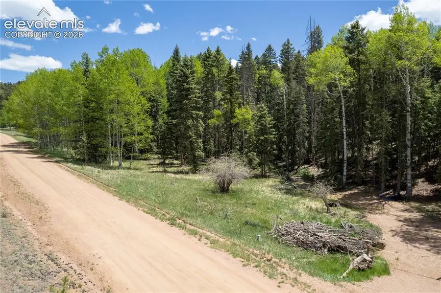546 Spring Valley Lane, Florissant, CO 80816 - #3