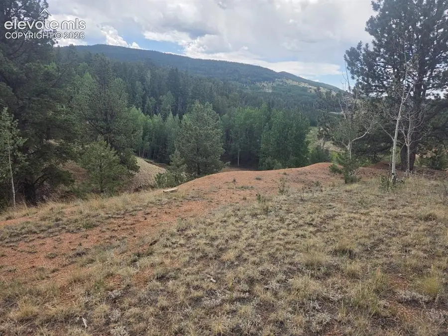 1124 Yorktown Road, Cripple Creek, CO 80813 - #2