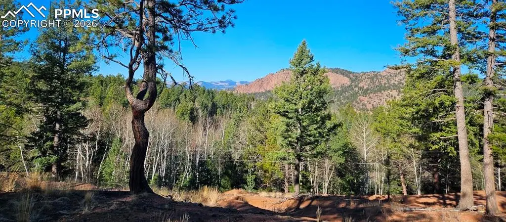 652 Derby Drive, Cripple Creek, CO 80813 - #1