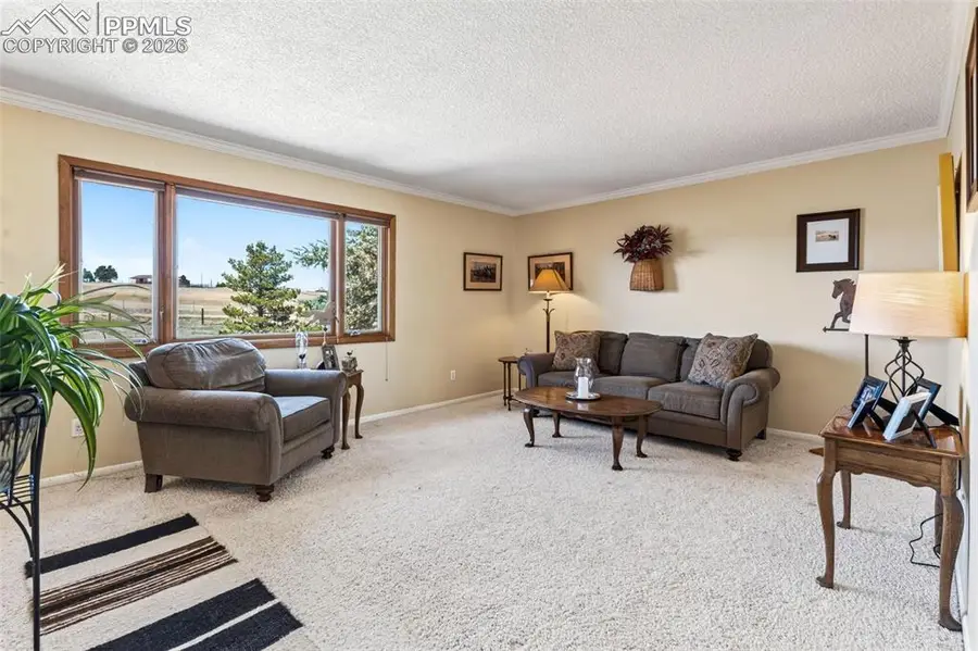 12360 Mesa View Road, Larkspur, CO 80118 - #3