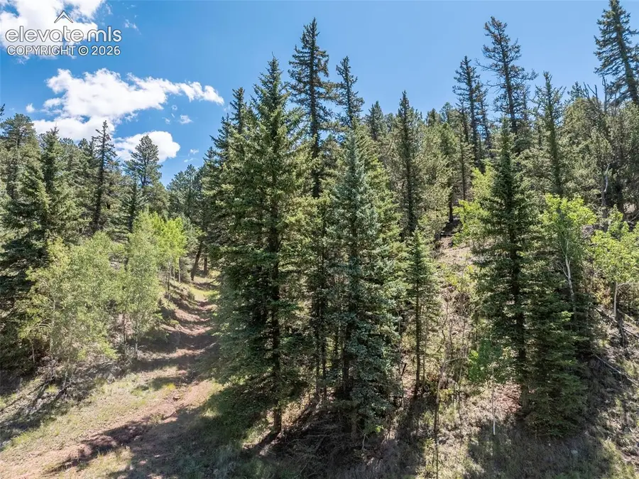 1676 Pathfinder Road, Florissant, CO 80816 - #2