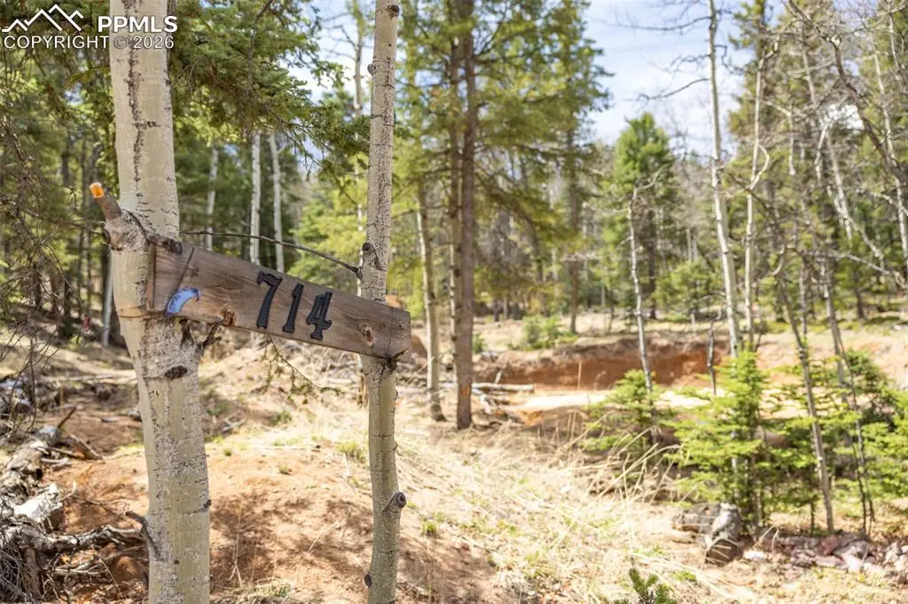 714 Will Stutley Drive, Divide, CO 80814 - #1