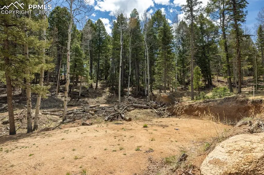 714 Will Stutley Drive, Divide, CO 80814 - #3