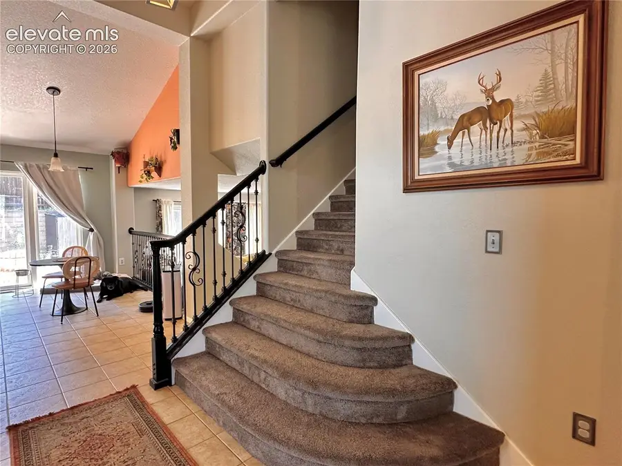 6563 Barrel Race Drive, Colorado Springs, CO 80923 - #2