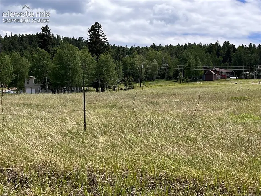 216 Will Scarlet Drive, Divide, CO 80814 - #3