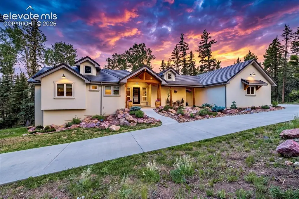 102 Bald Eagle View, Divide, CO 80814 - #1