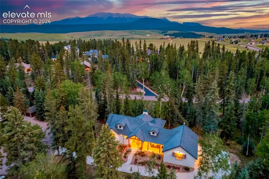102 Bald Eagle View, Divide, CO 80814 - #2