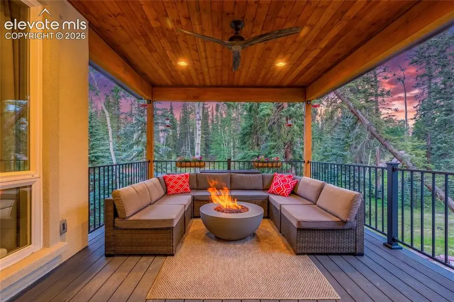 102 Bald Eagle View, Divide, CO 80814 - #3