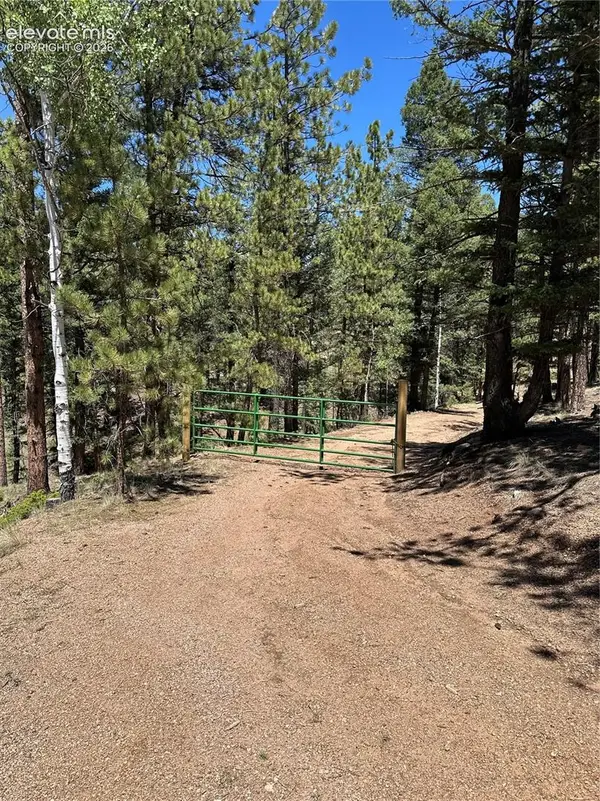305 & 281 Midnight Lane, Florissant, CO 80816