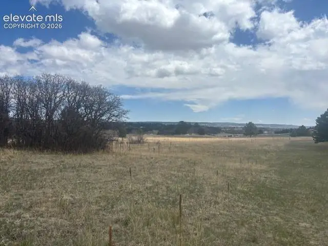 3615 Summertime Court, Monument, CO 80132 - #2