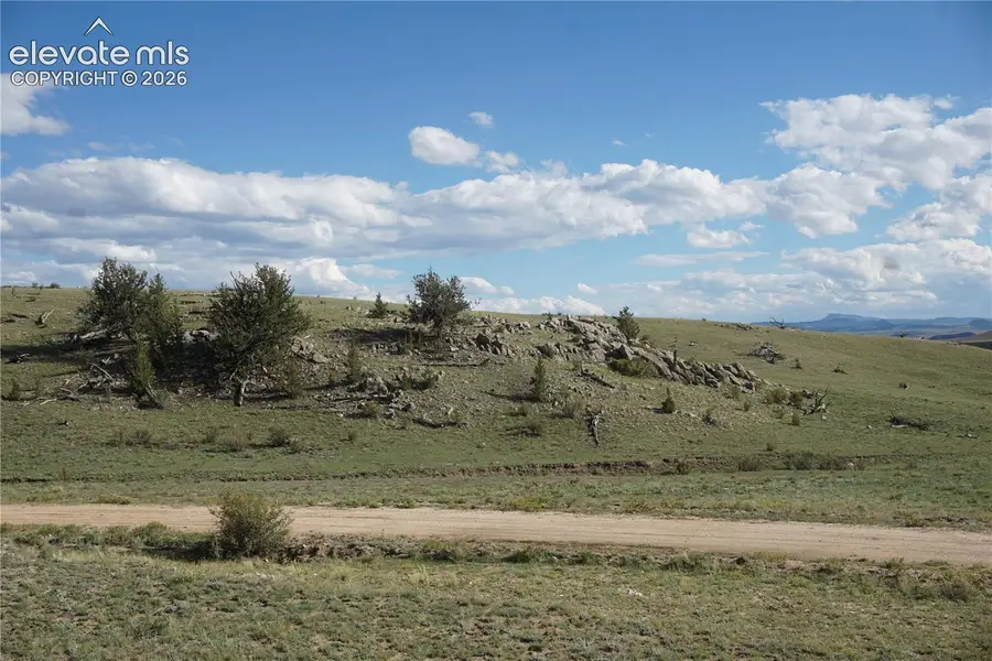 1022 Walls Street, Hartsel, CO 80449 - #3
