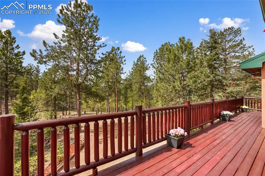 381 Saddleback Creek Drive, Florissant, CO 80816 - #3