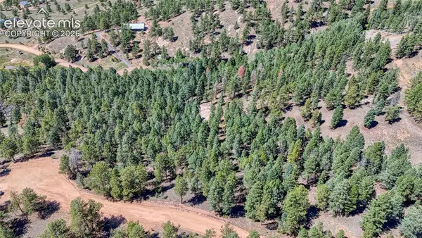 105 Carlton Circle, Florissant, CO 80816